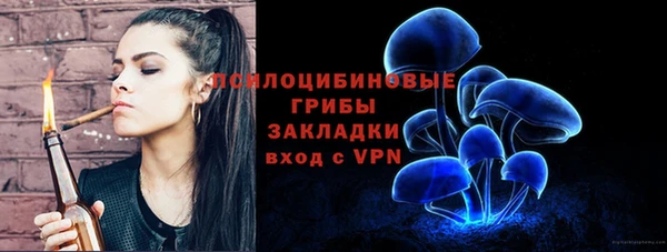 мяу мяу кристалл Богданович