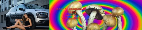стафф Богородск
