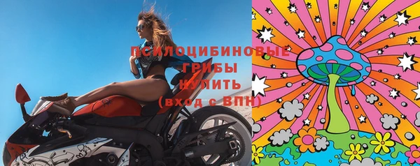 стафф Богородск
